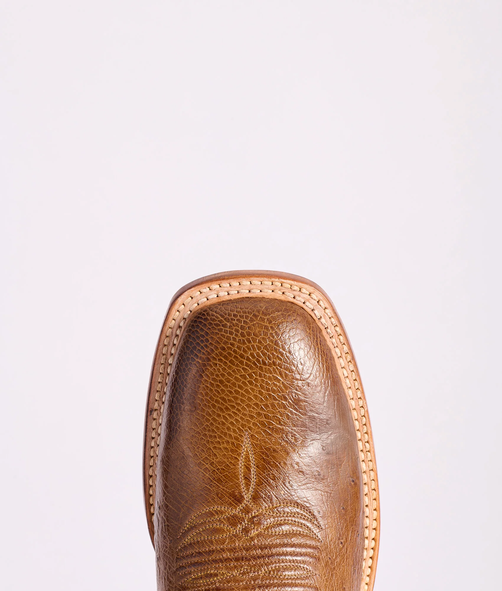 Cecil Exotic :: Sienna