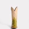 Cecil Exotic :: Fern