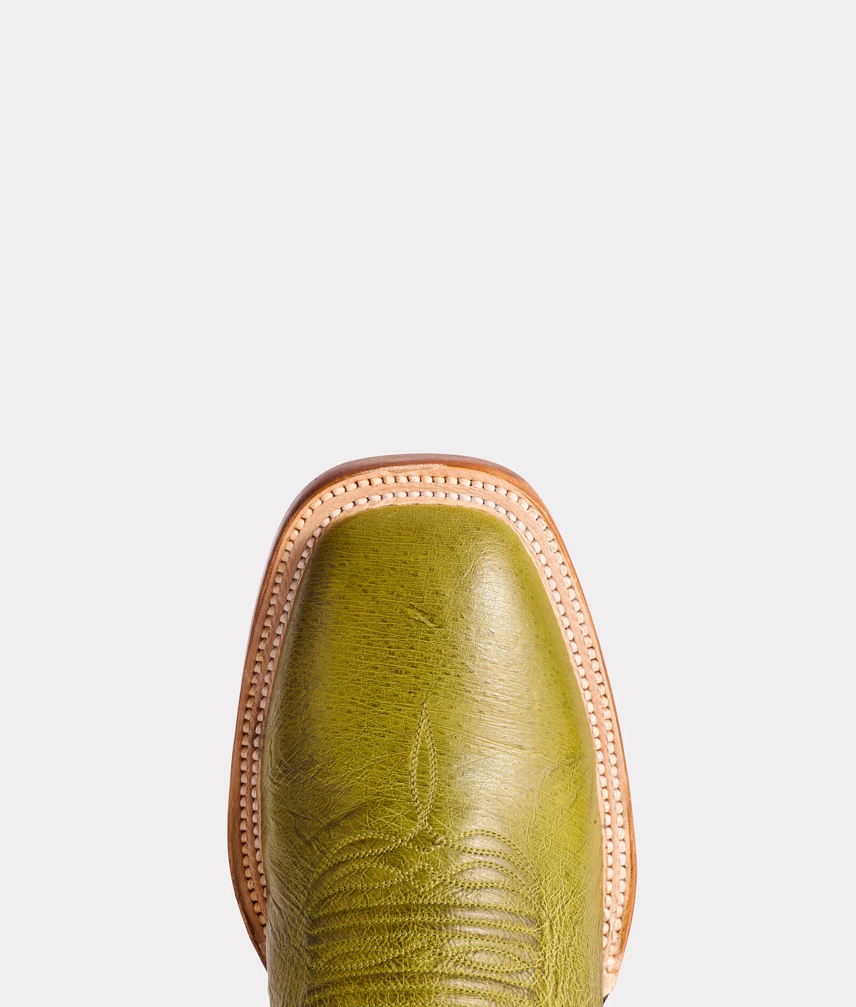 Cecil Exotic :: Fern