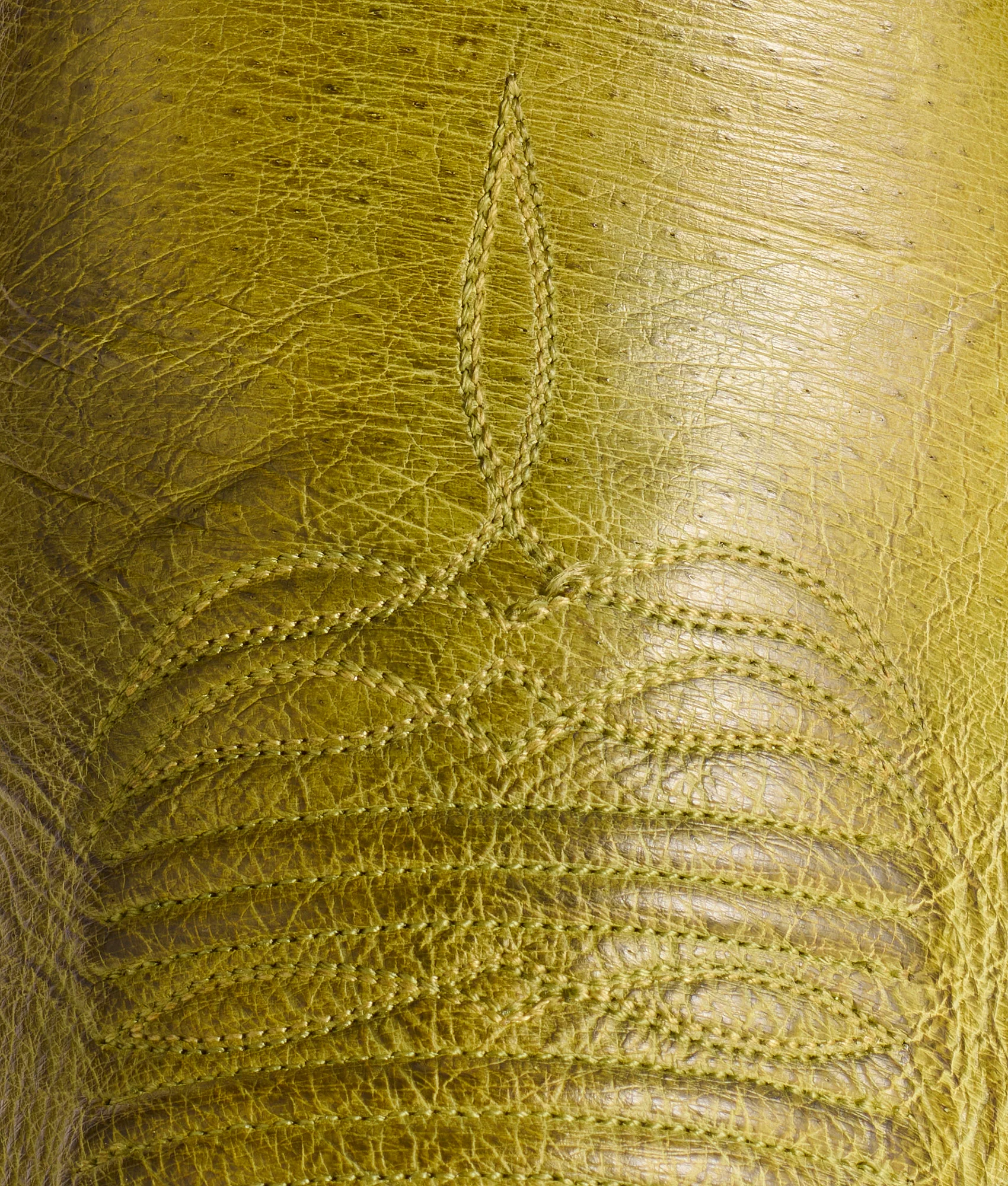 Cecil Exotic :: Fern