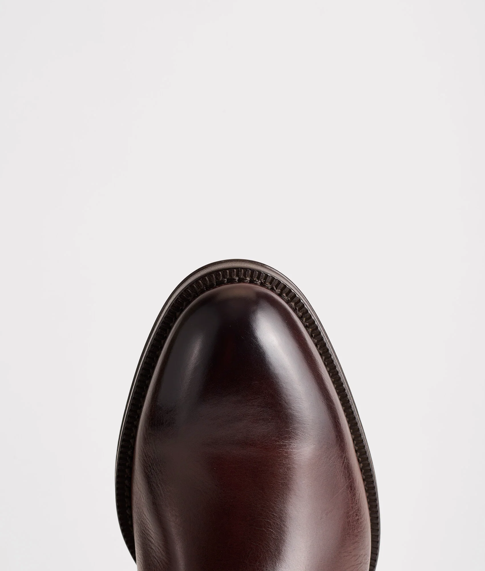 Maestro :: Cognac