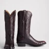 Charles :: Black Cherry + Cordovan