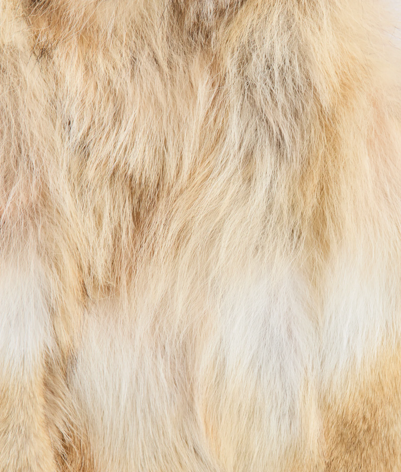 Kirsta Fur Vest :: Natural