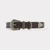 Exotic Dog Collar :: Black Cherry