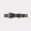 Exotic Dog Collar :: Black Cherry