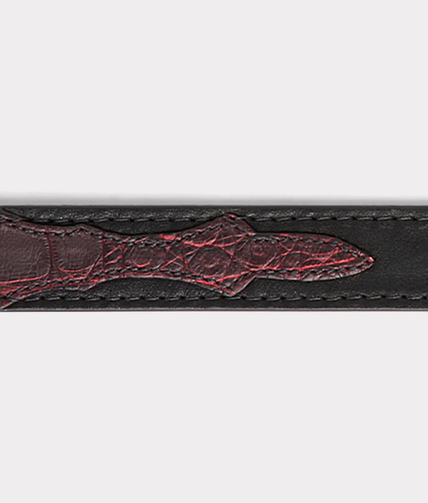 Exotic Dog Collar :: Black Cherry