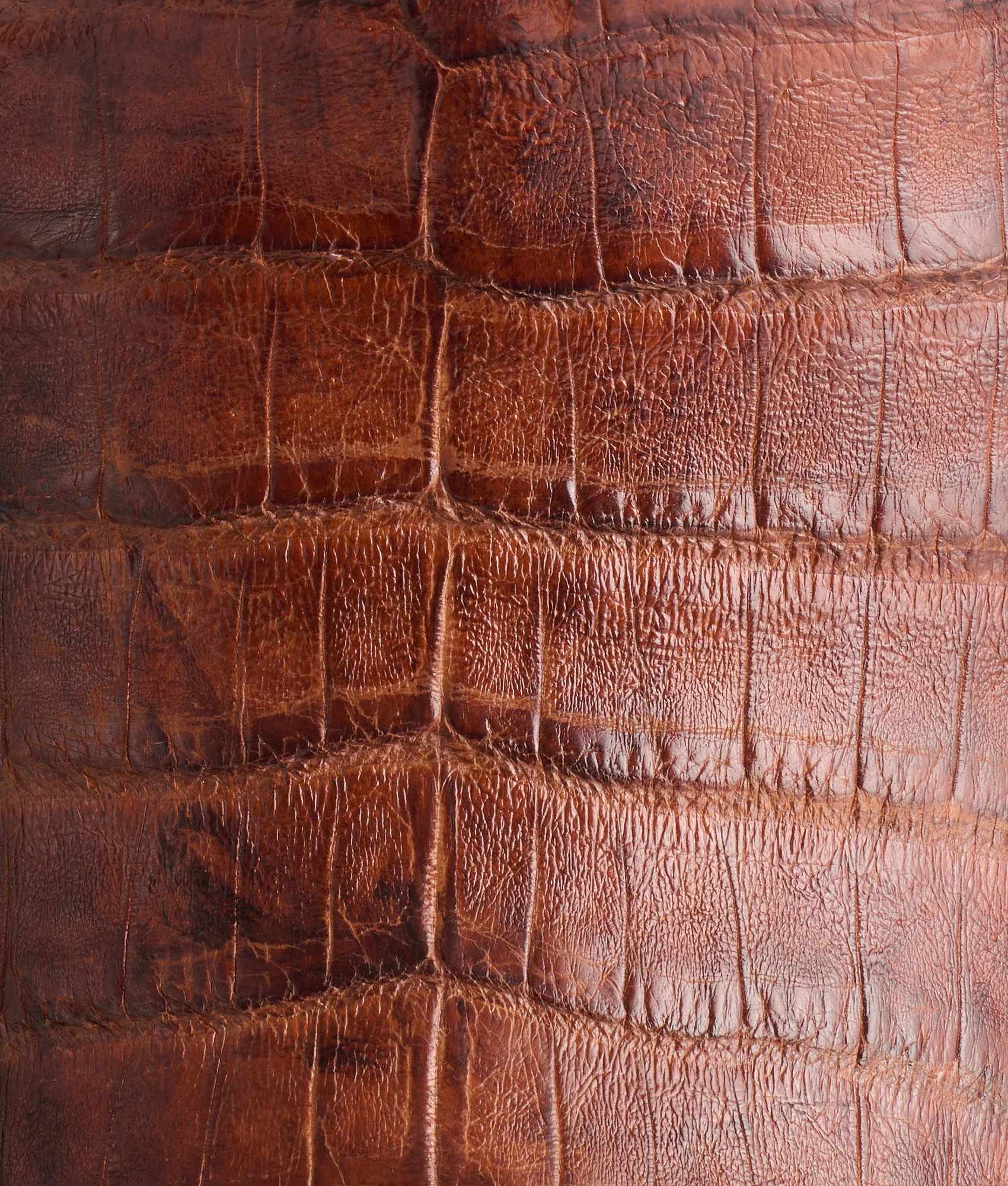 Charles :: Sienna + Dark Brown