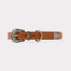 Dog Collar :: Tan