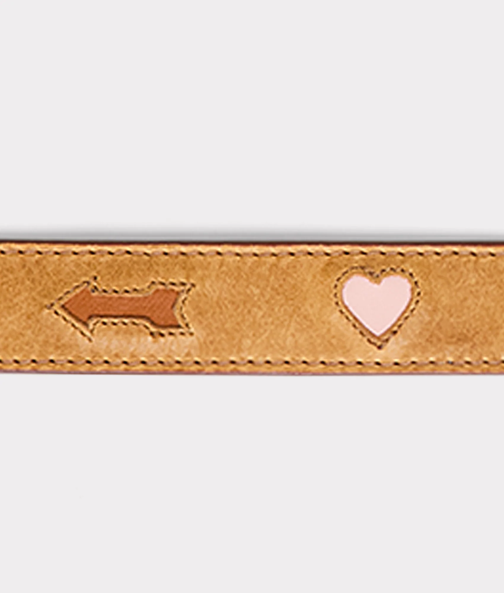 Dog Collar :: Tan