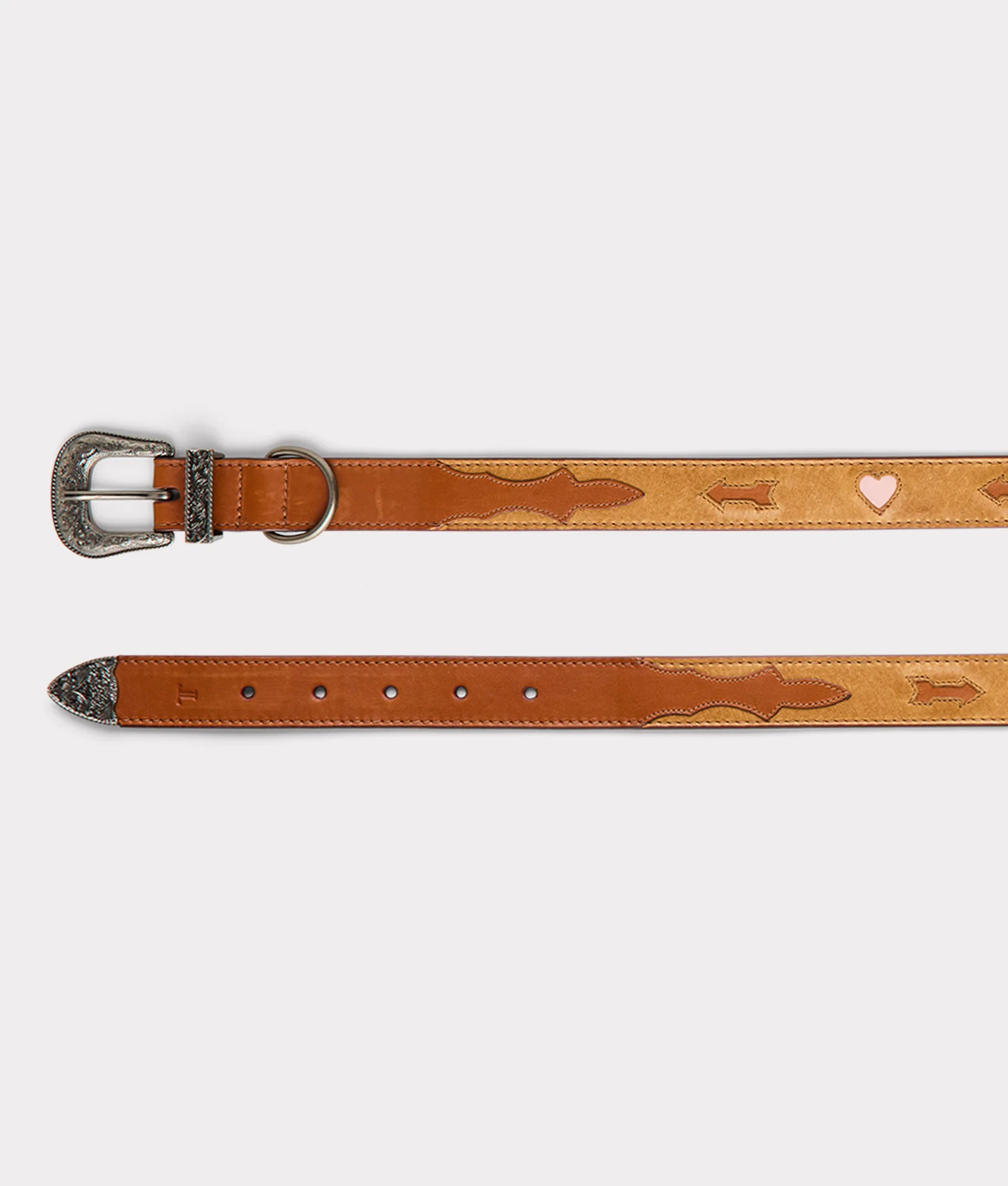 Dog Collar :: Tan
