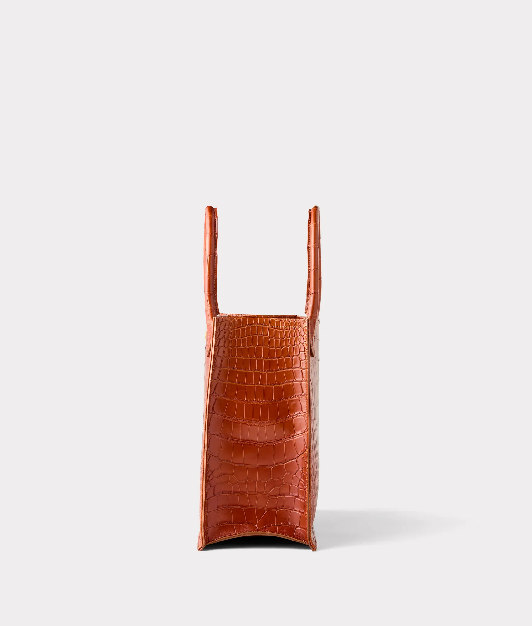 Large Alice Exotic Book Tote :: Honey