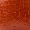 Large Alice Exotic Book Tote :: Honey