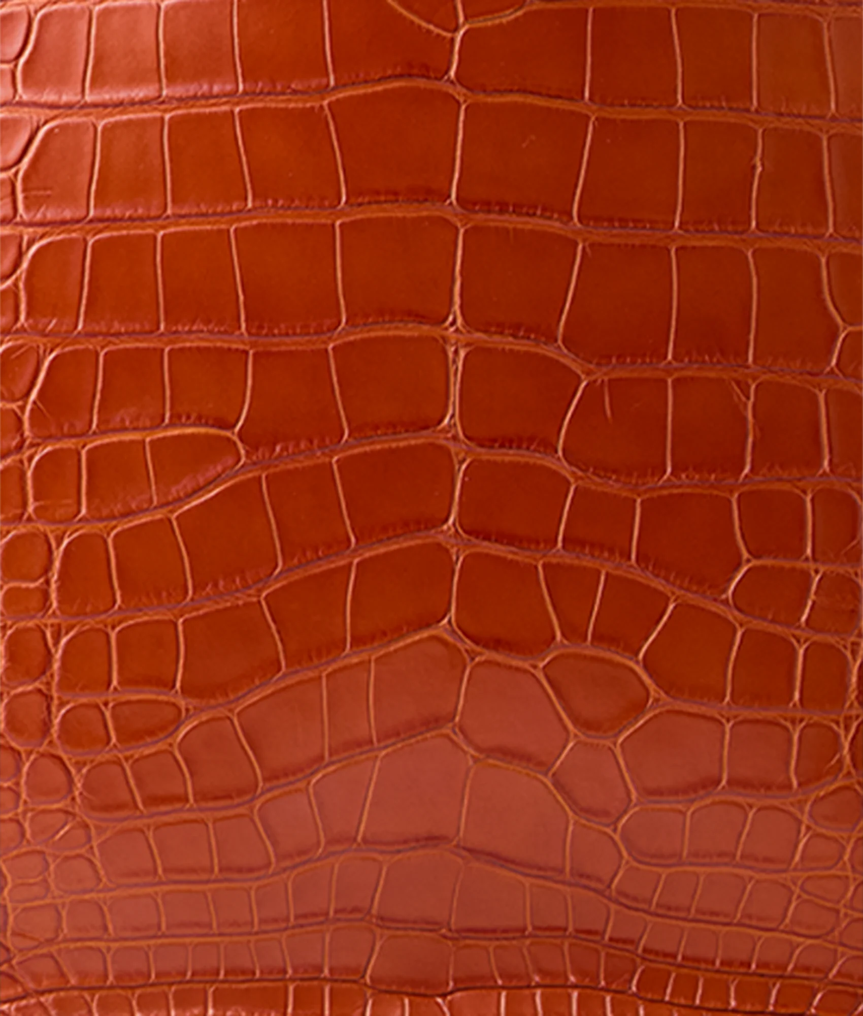 Large Alice Exotic Book Tote :: Honey