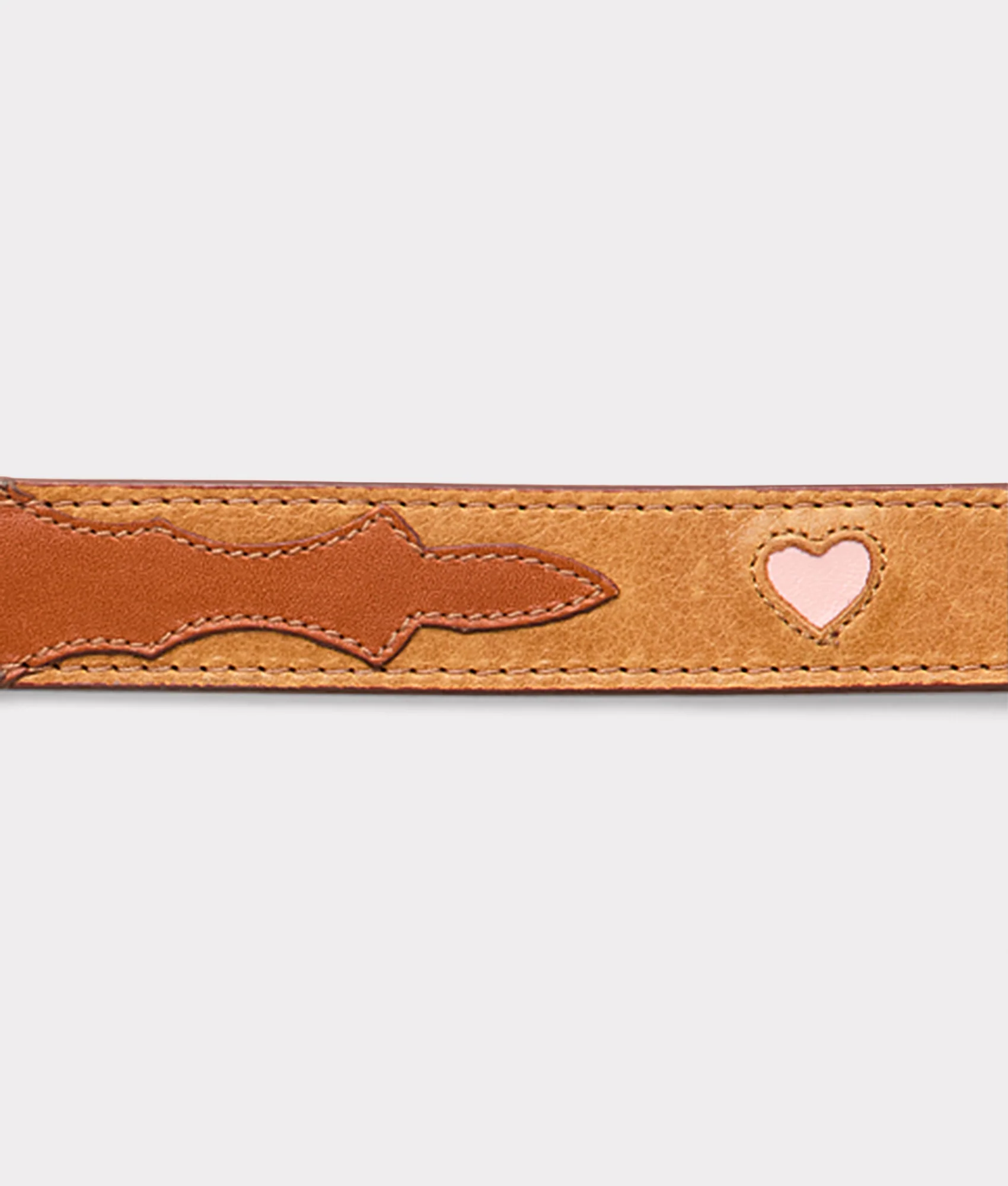 Large Dog Collar :: Tan