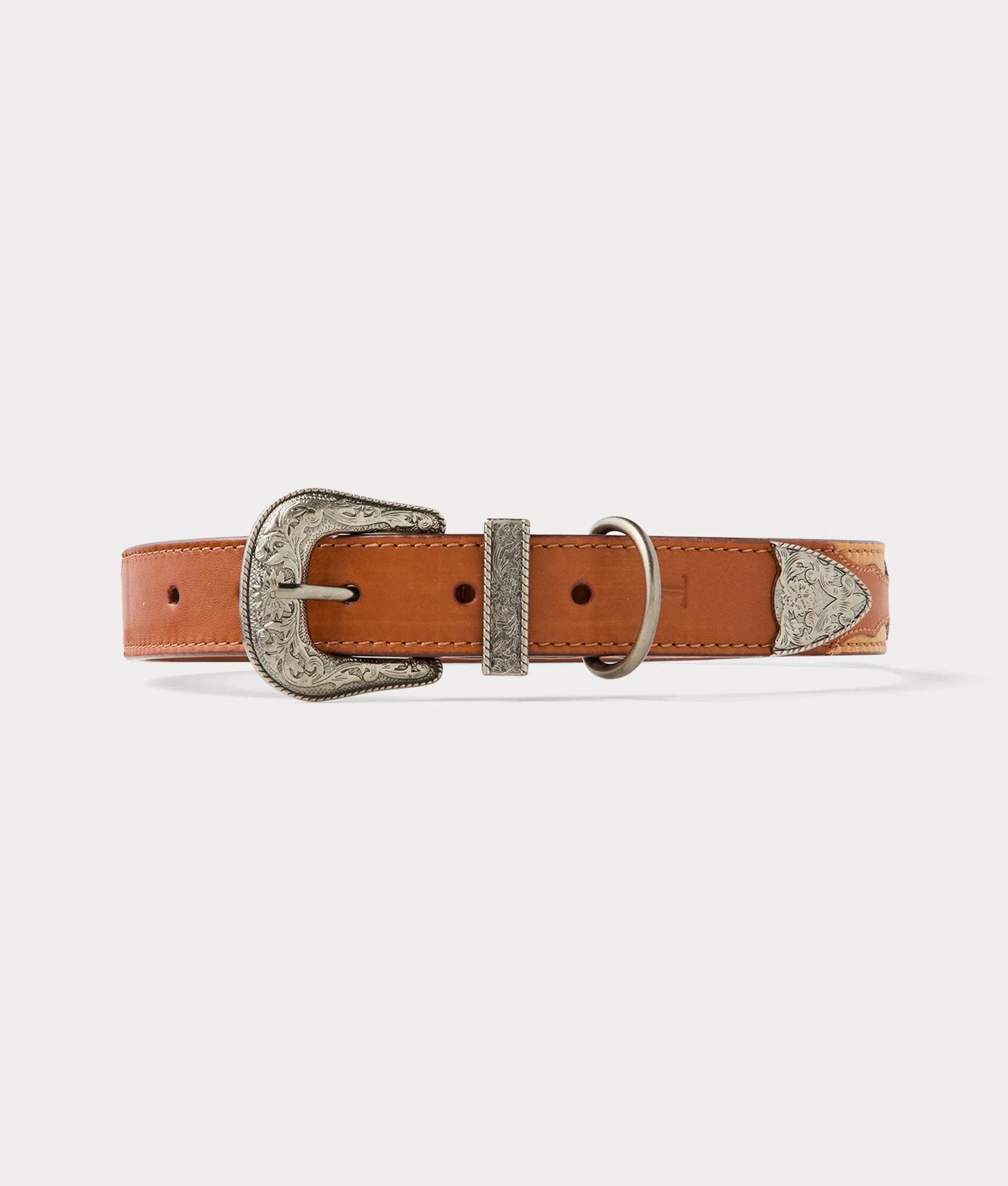 Large Dog Collar :: Tan