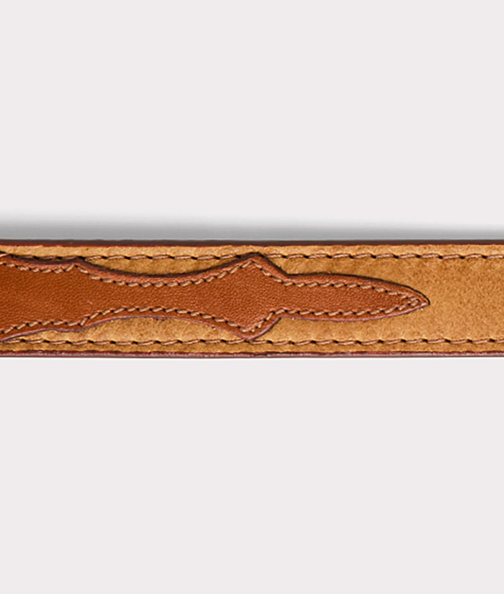 Large Dog Collar :: Tan