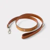 Large Dog Collar :: Tan