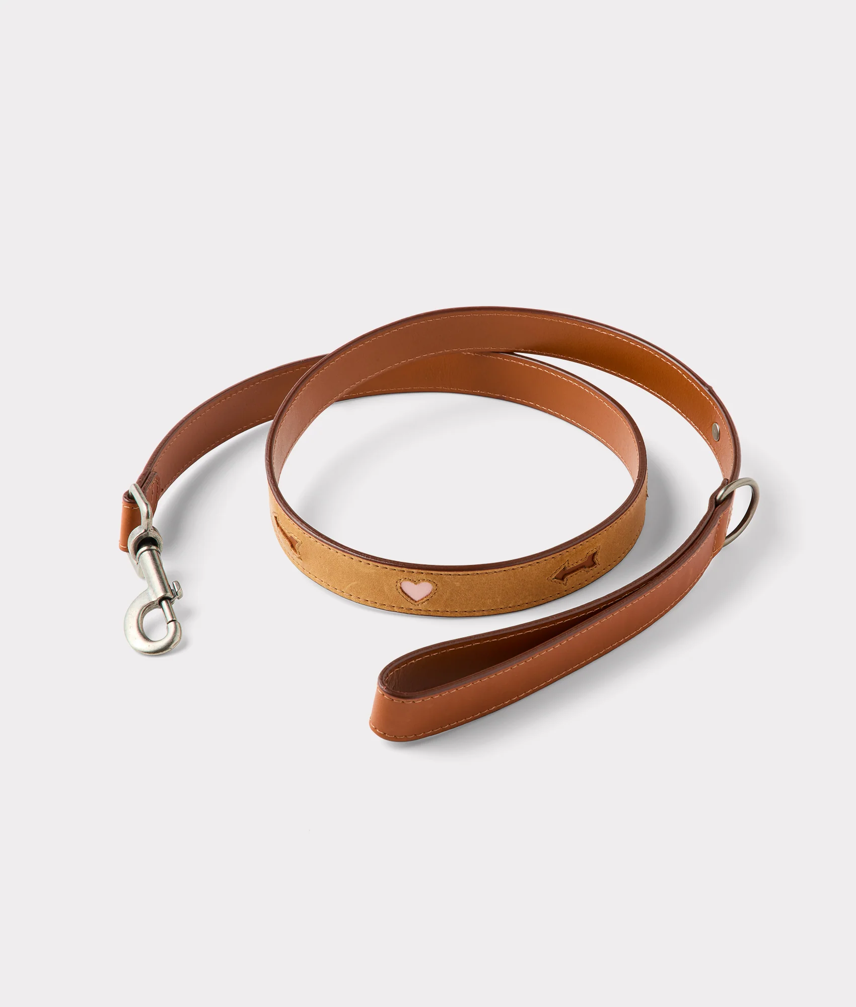 Large Dog Collar :: Tan