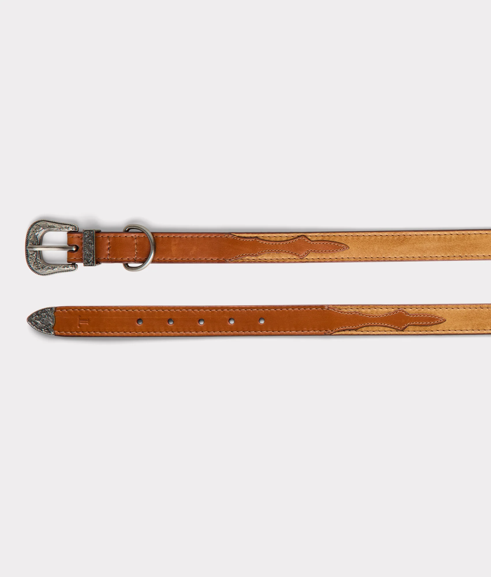 Large Dog Collar :: Tan