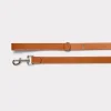 Large Dog Collar :: Tan