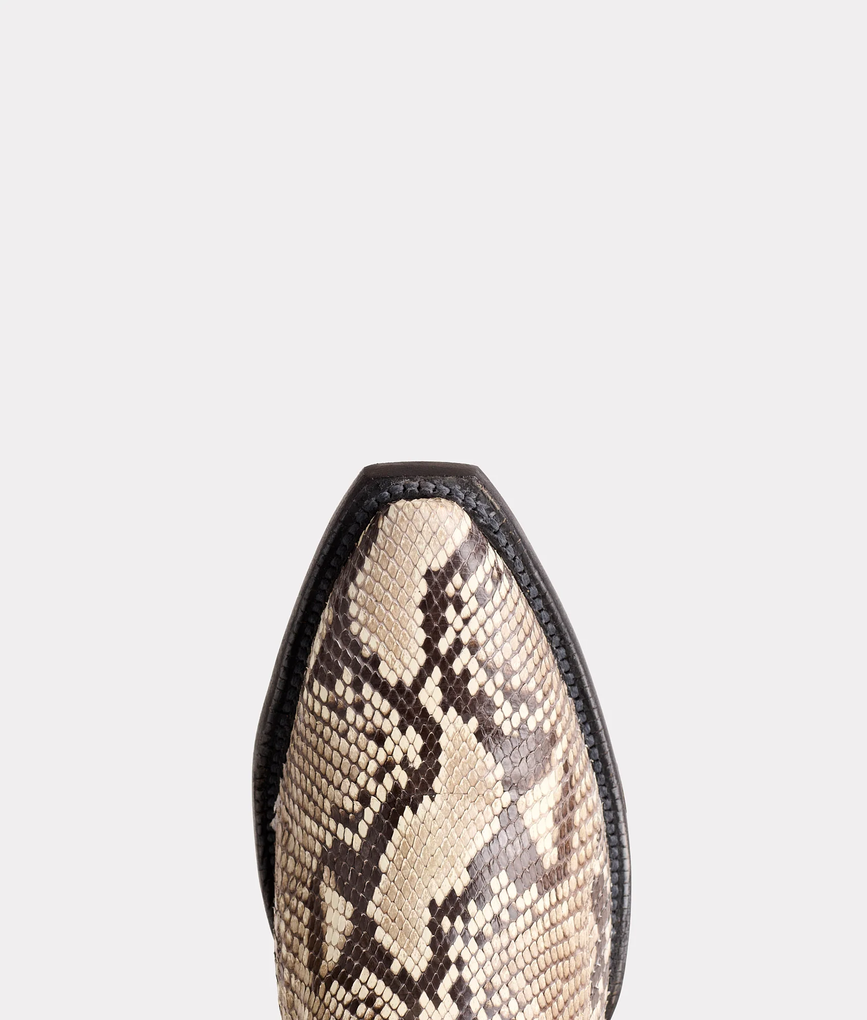 Dale Exotic :: Black/White + Black