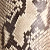Dale Exotic :: Black/White + Black