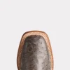 Cliff :: Anthracite