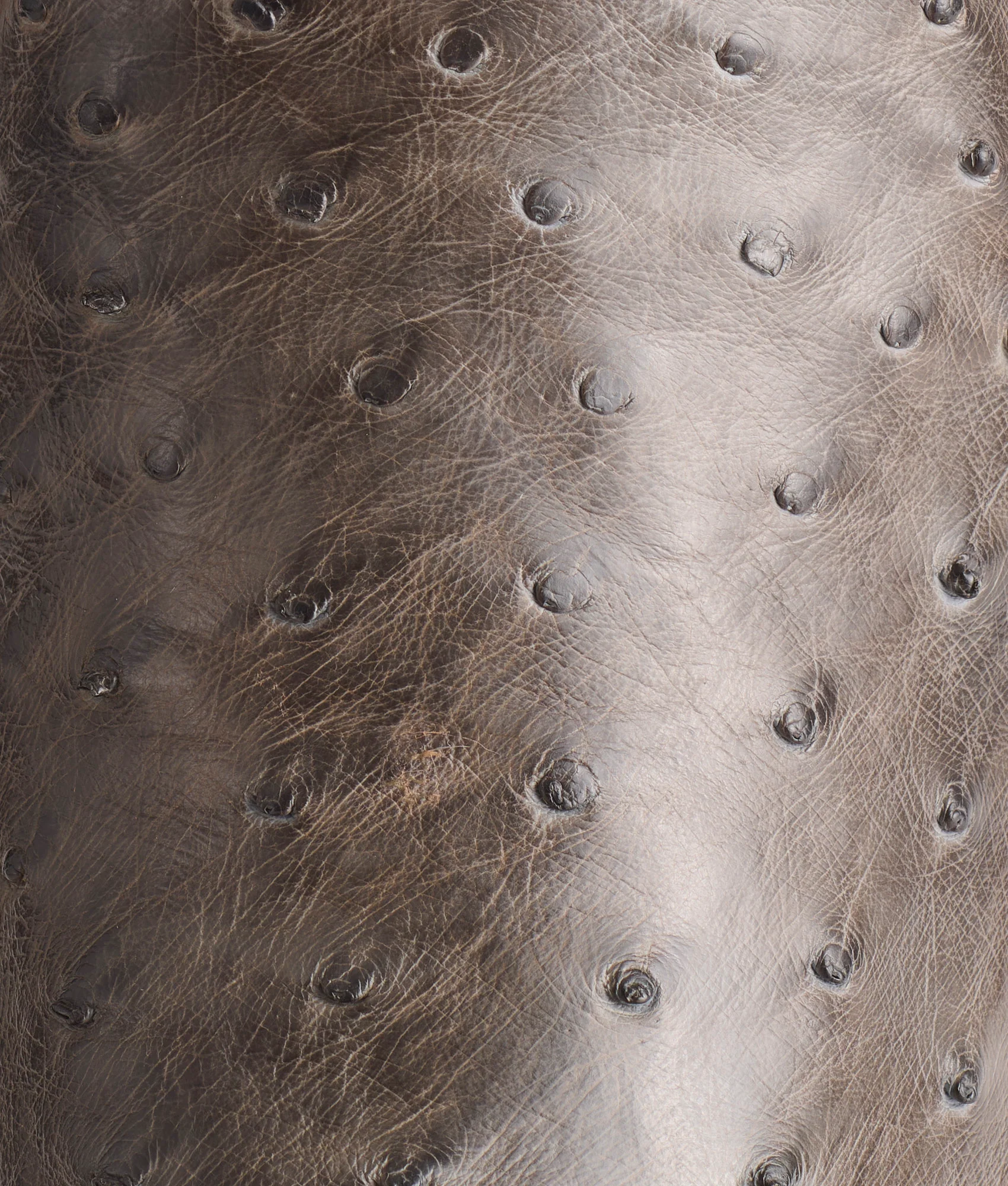 Cliff :: Anthracite