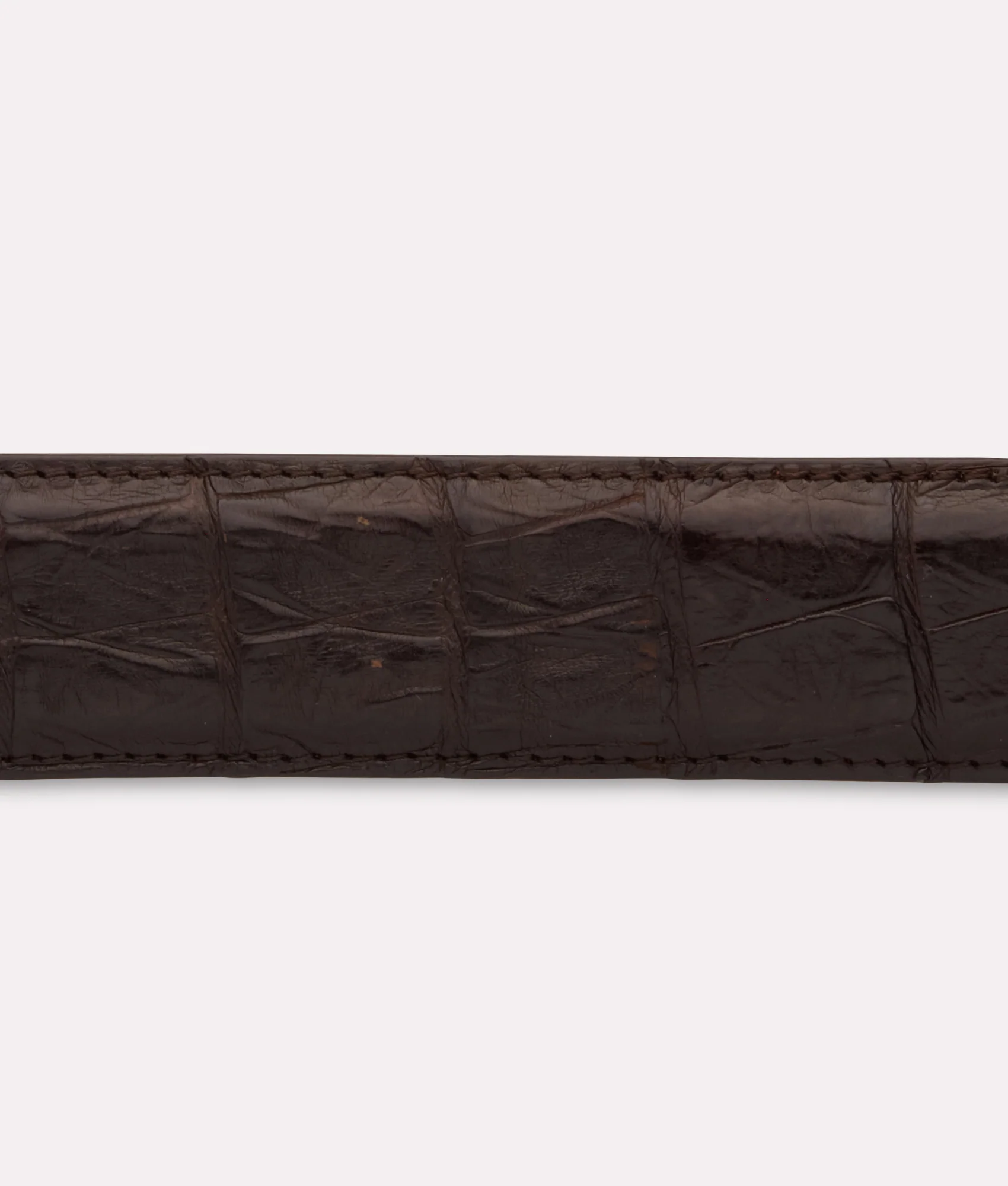 6536-ultra-belly-caiman-chocolate-4.webp Ultra Belly Caiman :: Chocolate