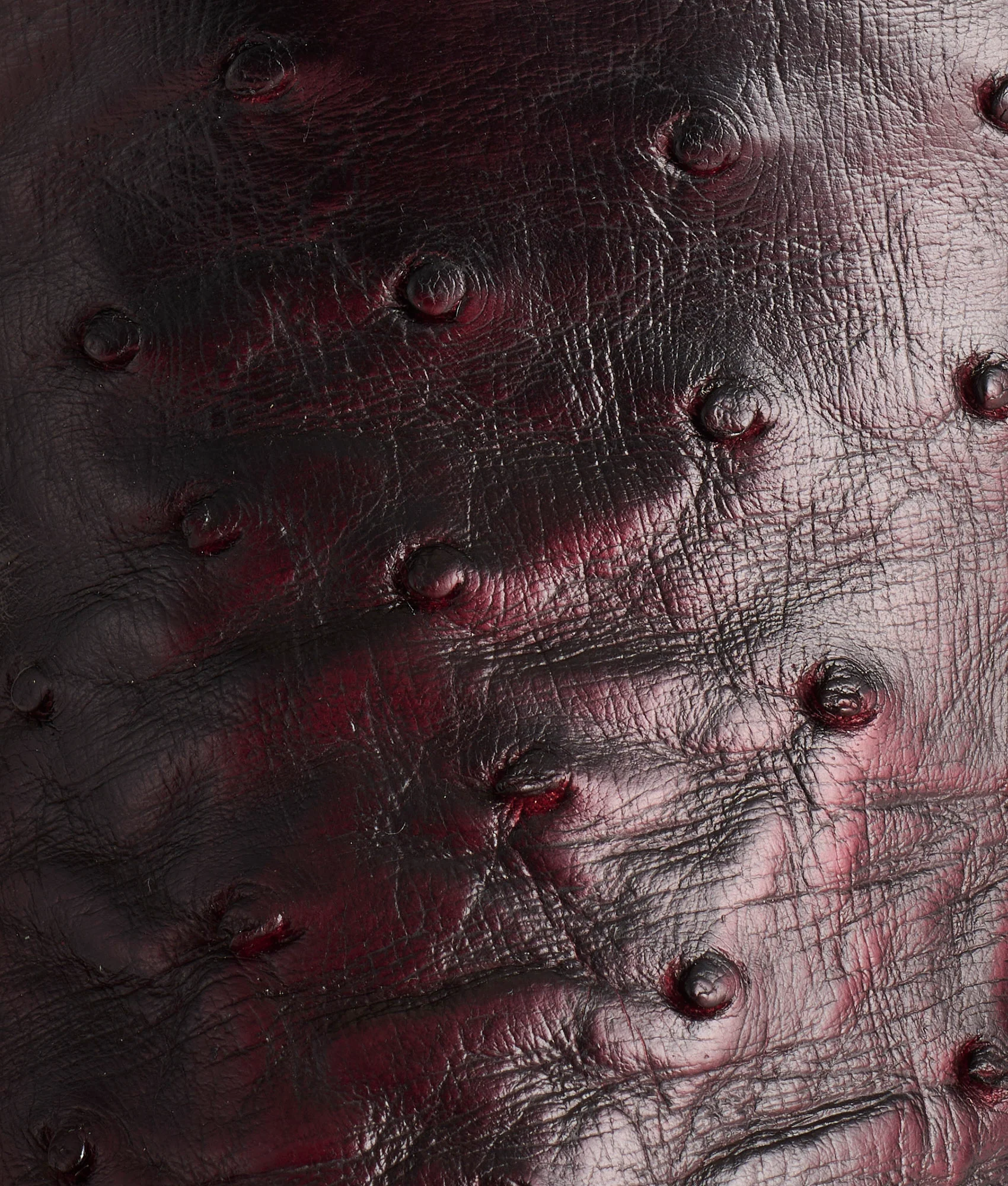 Cliff :: Black Cherry + Black