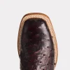 Cliff :: Black Cherry + Black