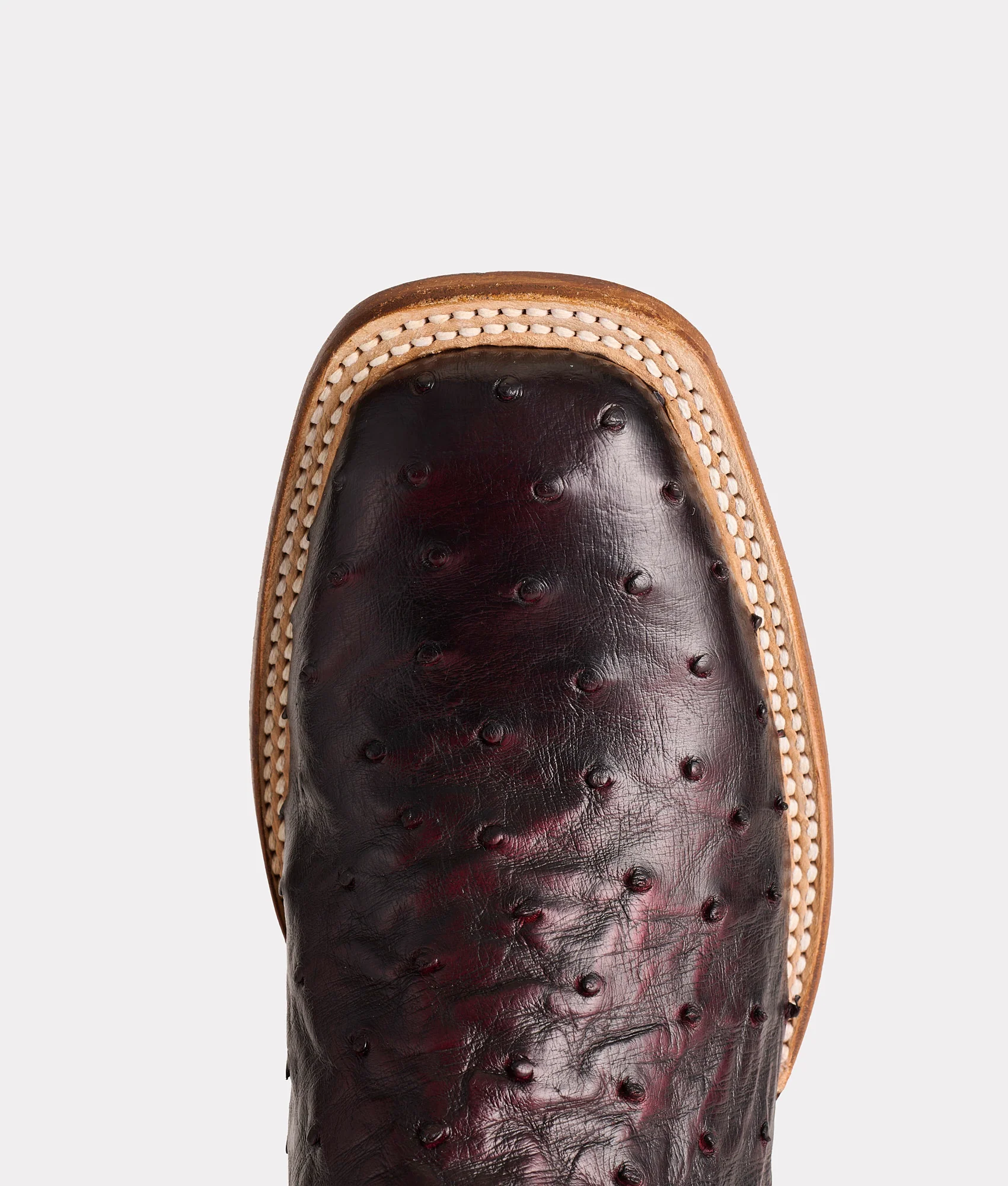 Cliff :: Black Cherry + Black