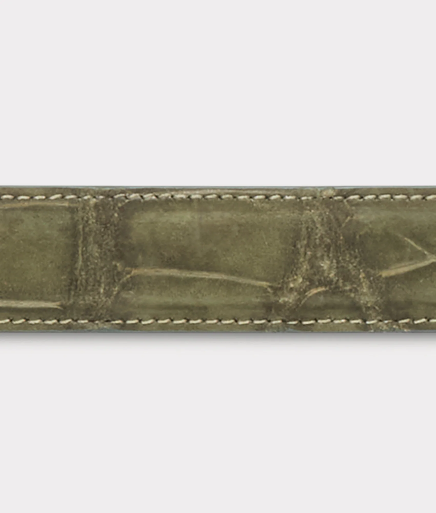 Big Ole Al Belt :: Olive