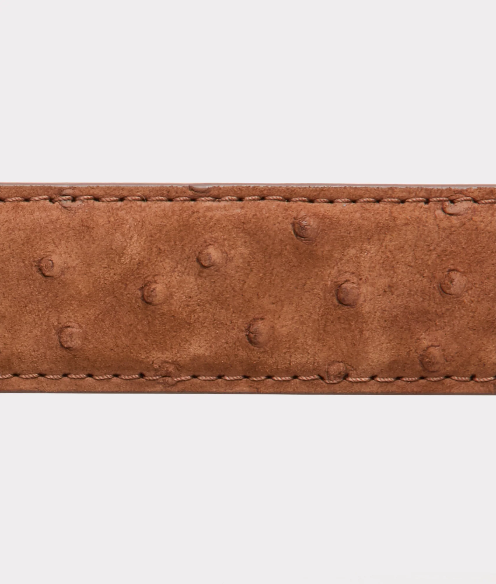 Straight Shooter Belt :: Tobacco