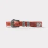 Lady Belt :: Cognac