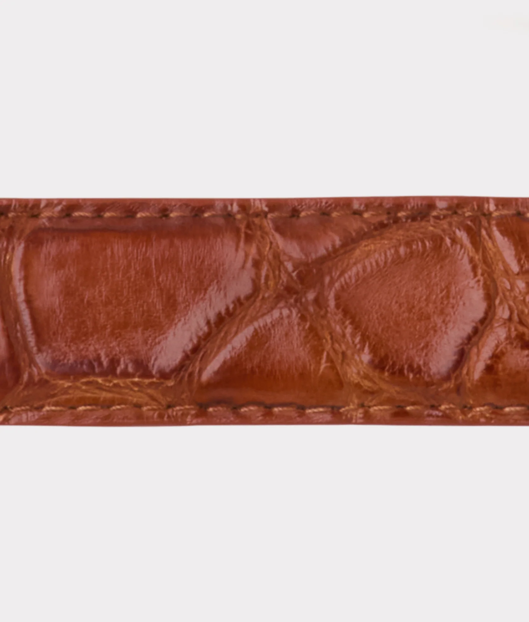 Lady Belt :: Cognac