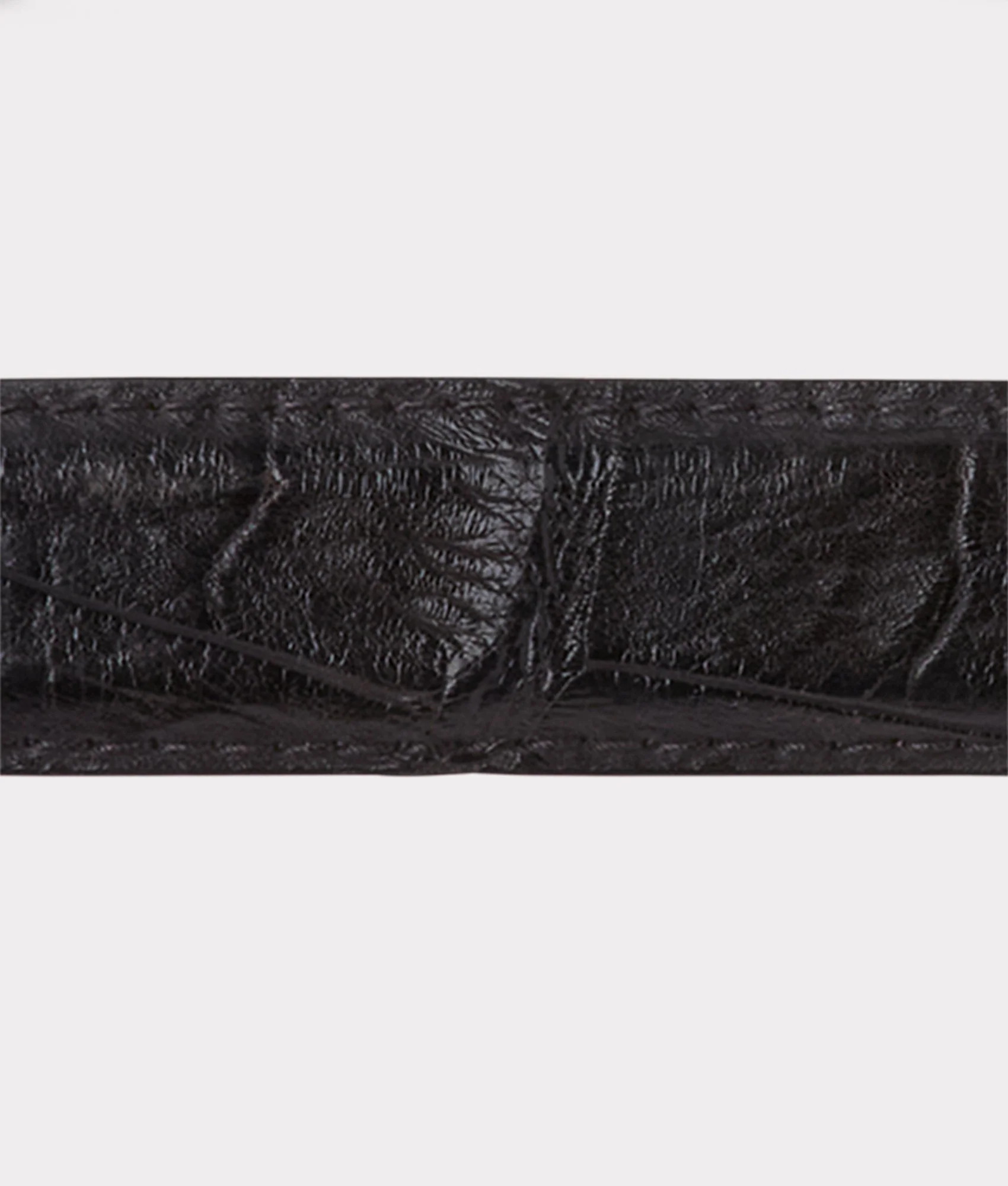 Lady Belt :: Black
