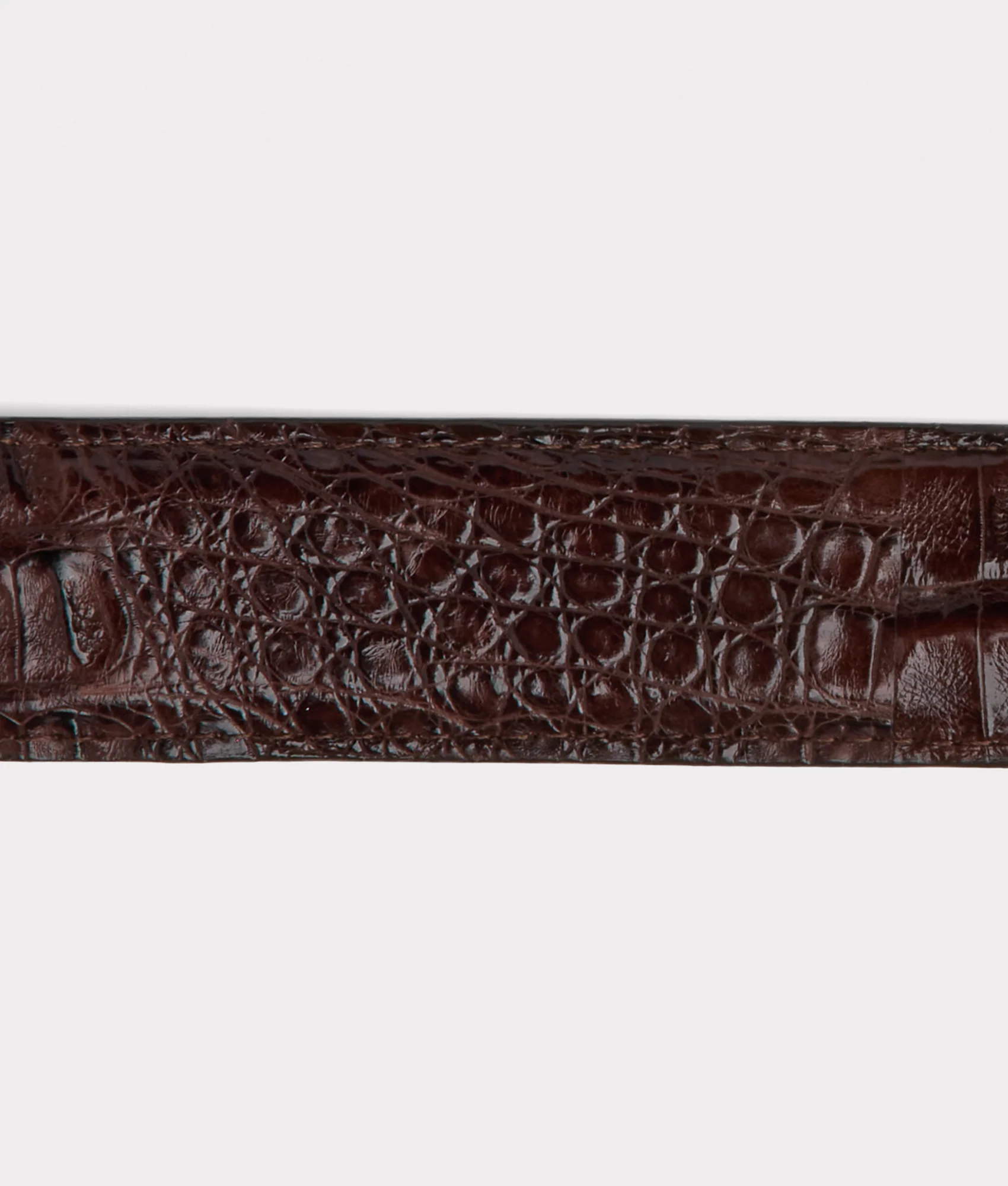 Buster Belt :: Chocolate