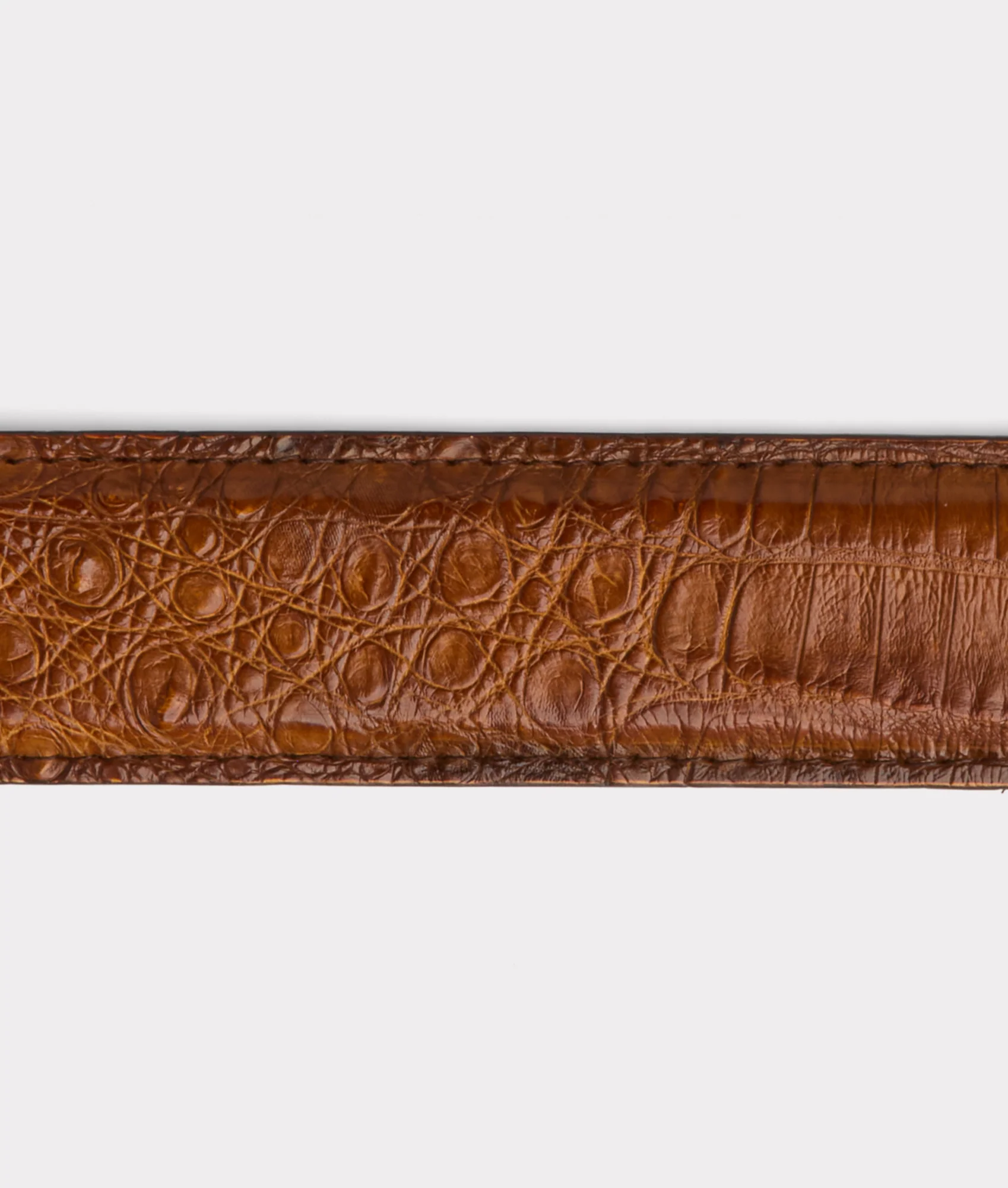 Buckaroo Belt :: Cognac