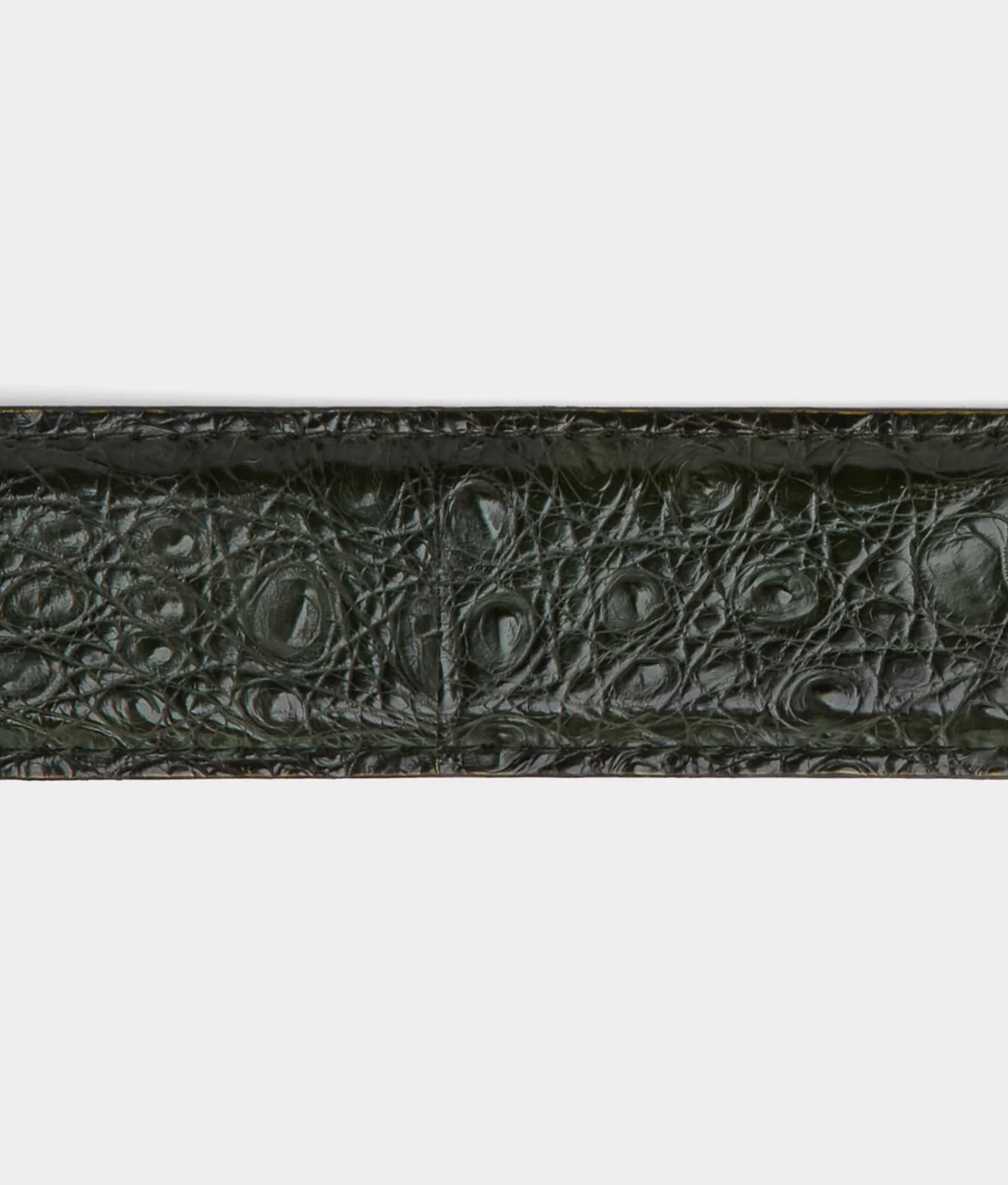Buckaroo Belt :: Jungle Green