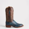 Cliff :: Navy + Chocolate