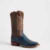 Cliff :: Navy + Chocolate