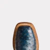 Cliff :: Navy + Chocolate