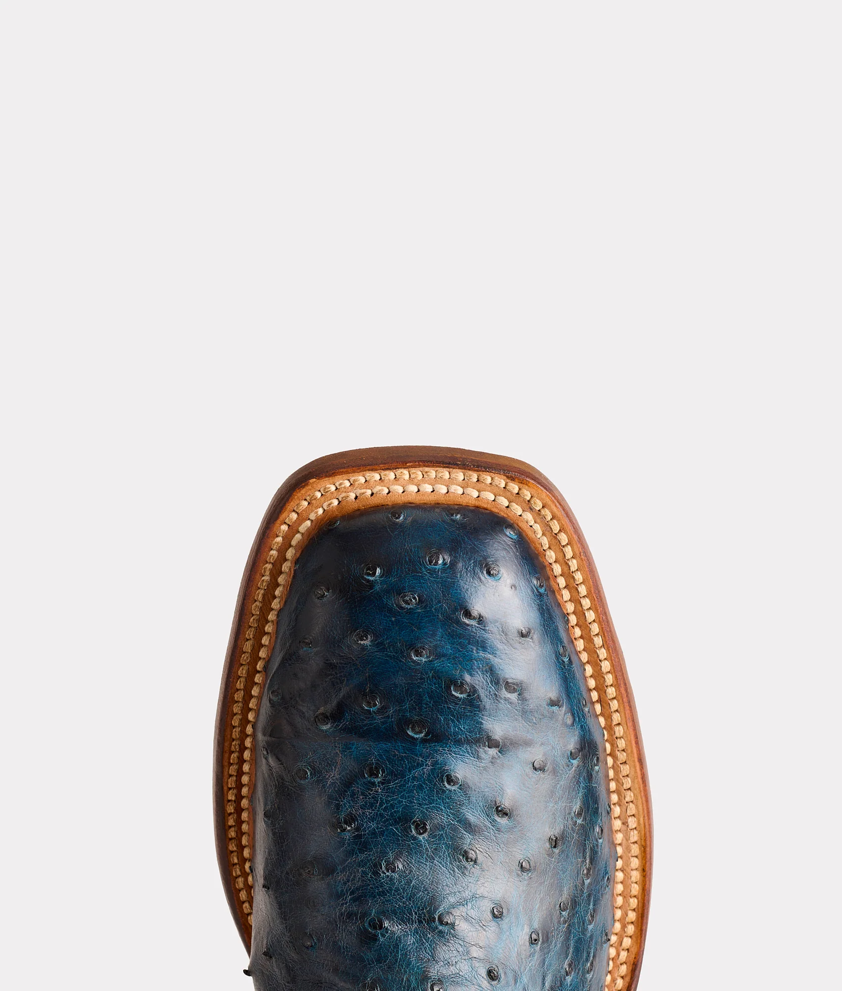 Cliff :: Navy + Chocolate