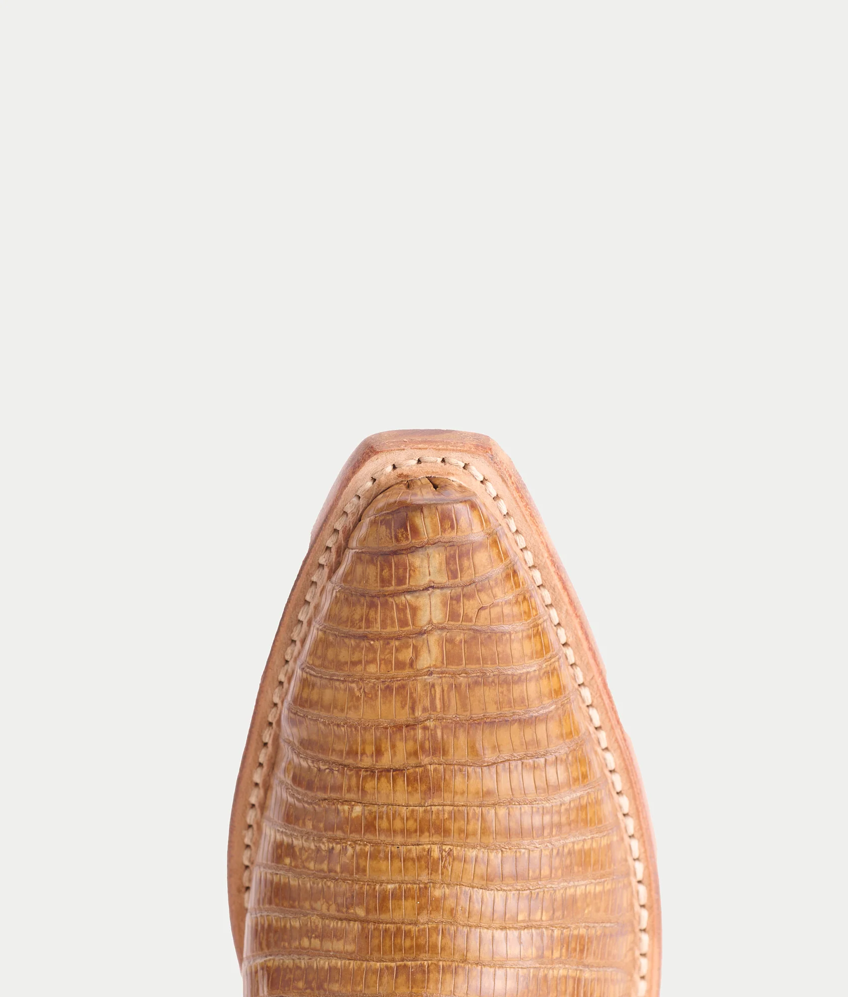 Dale Exotic :: Tan + Cream