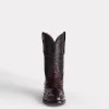 Hudson :: Black Cherry + Black