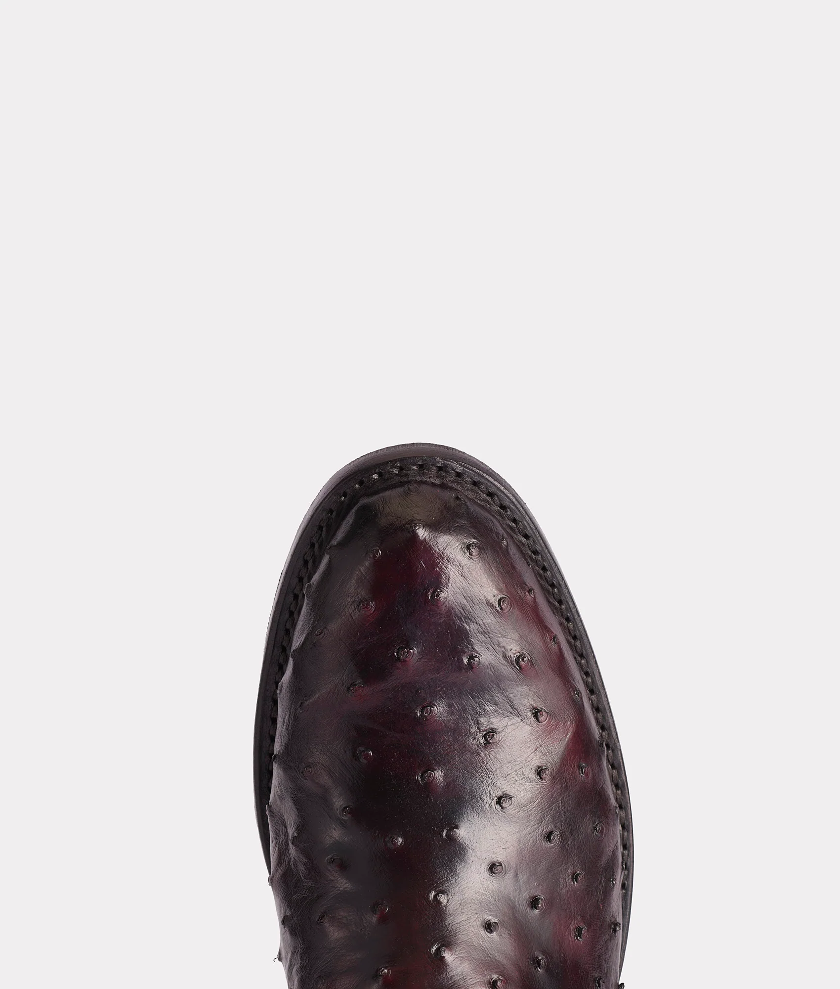 Hudson :: Black Cherry + Black