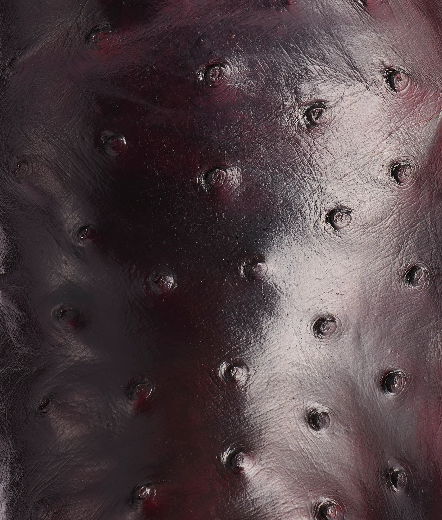 Hudson :: Black Cherry + Black