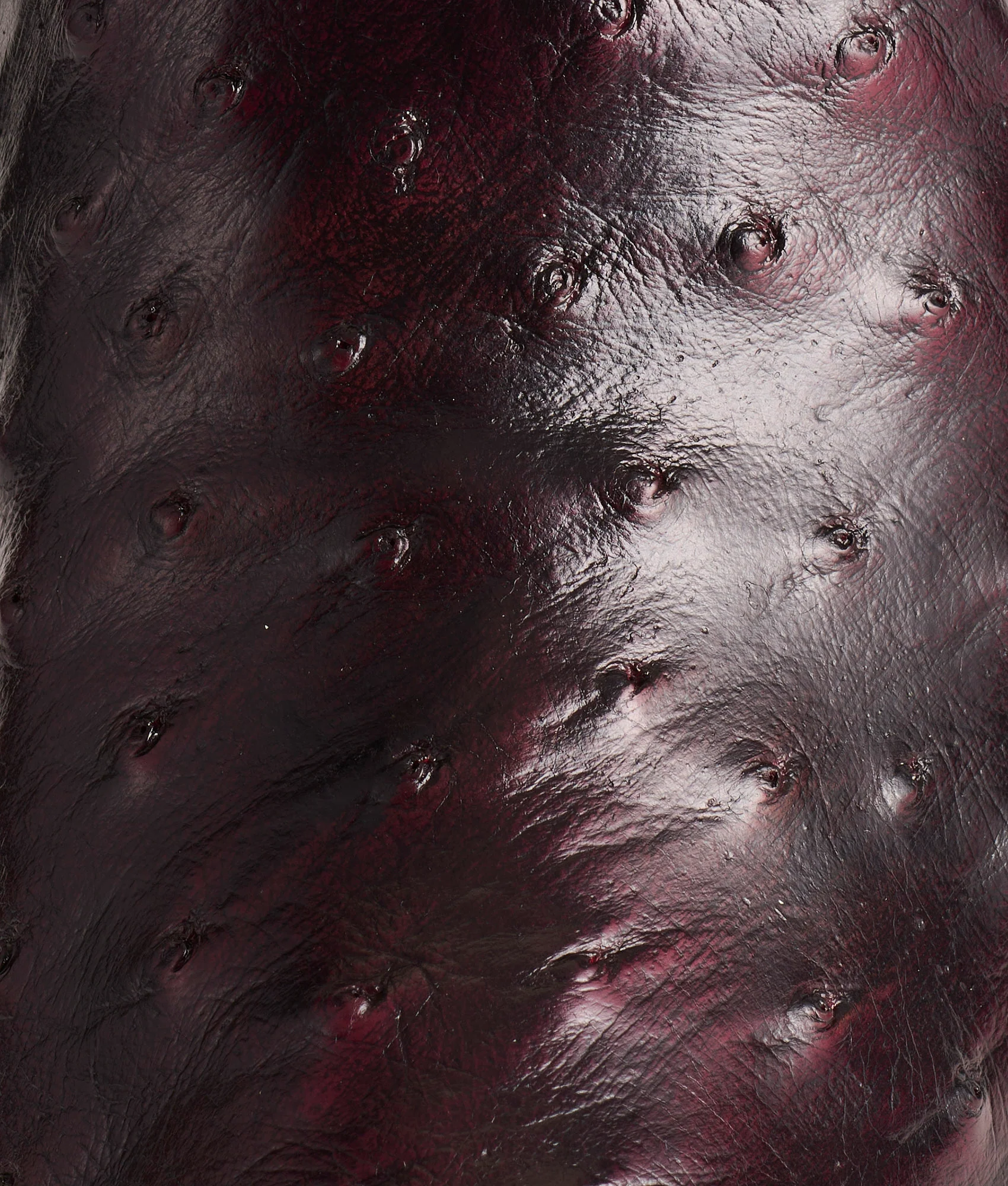 6825-josephine-black-cherry-10.webp Josephine :: Black Cherry