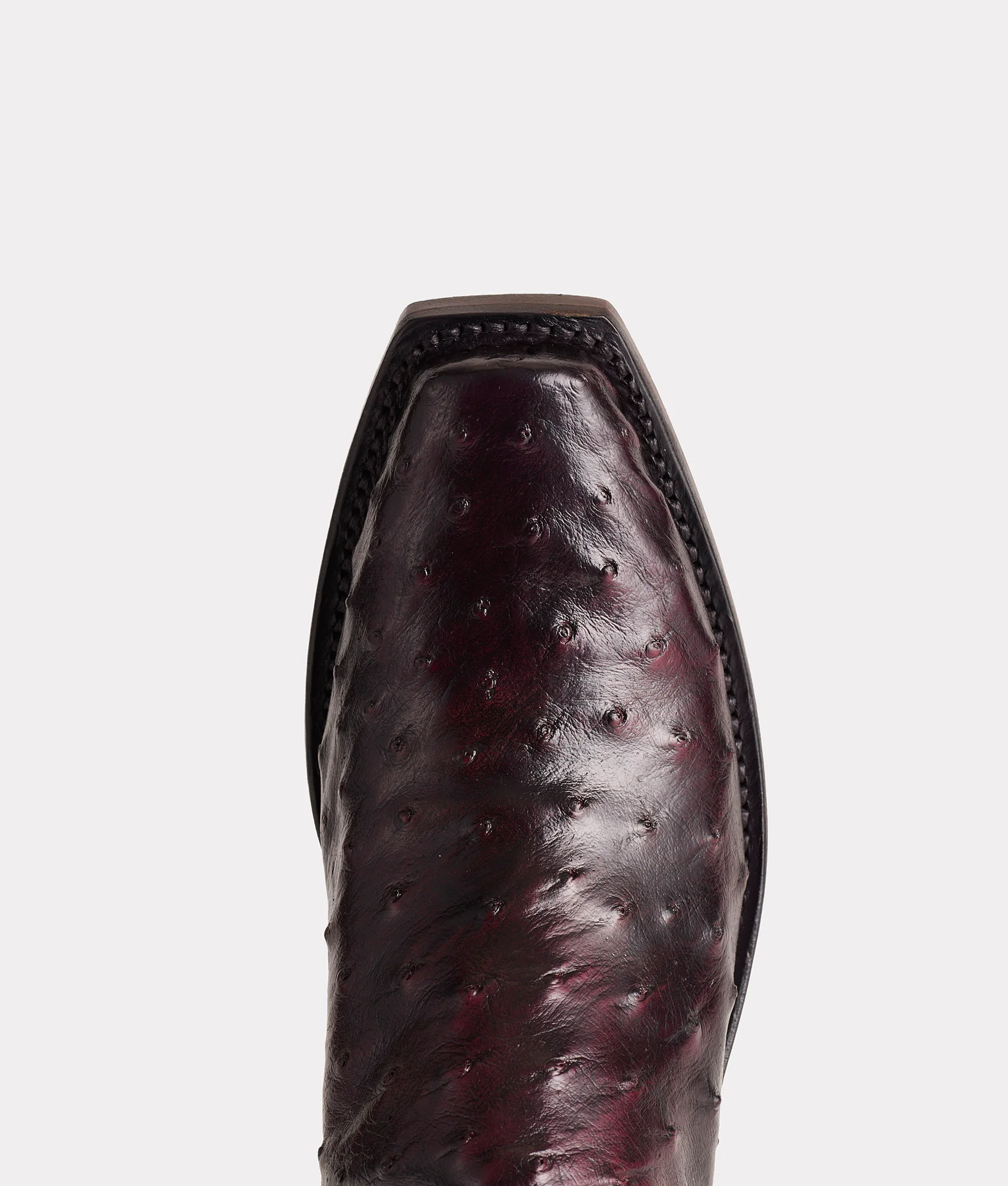 6825-josephine-black-cherry-8.webp Josephine :: Black Cherry